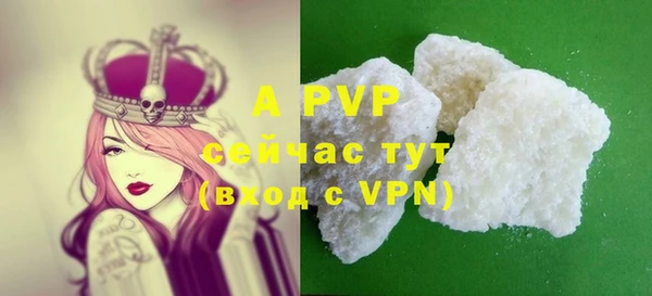 гидра Алексеевка