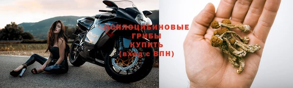 гидра Алексеевка