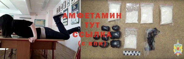 гидра Алексеевка
