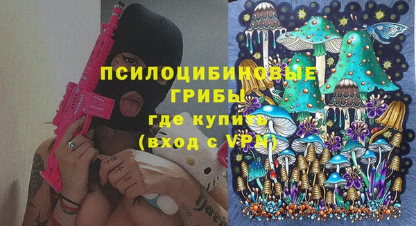 apvp Алзамай