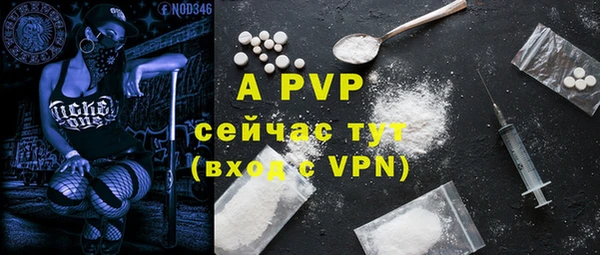 apvp Алзамай