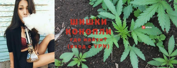 гидра Алексеевка