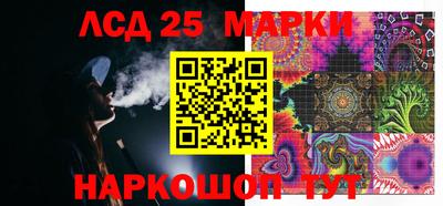 индика Можга