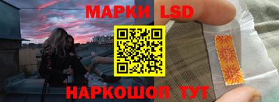 индика Можга