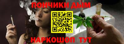 индика Можга