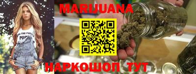 индика Можга