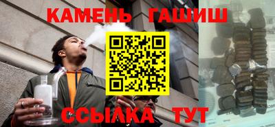 индика Можга