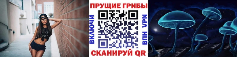Галлюциногенные грибы ЛСД сайты даркнета как зайти Сарапул