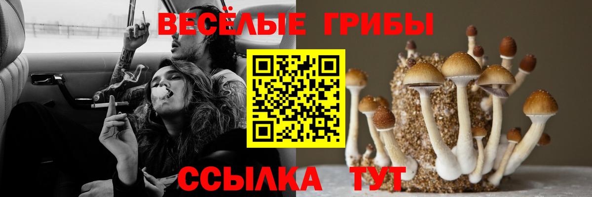 Галлюциногенные грибы Magic Shrooms Сарапул