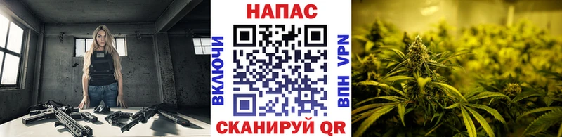 Бошки марихуана Bruce Banner Сарапул
